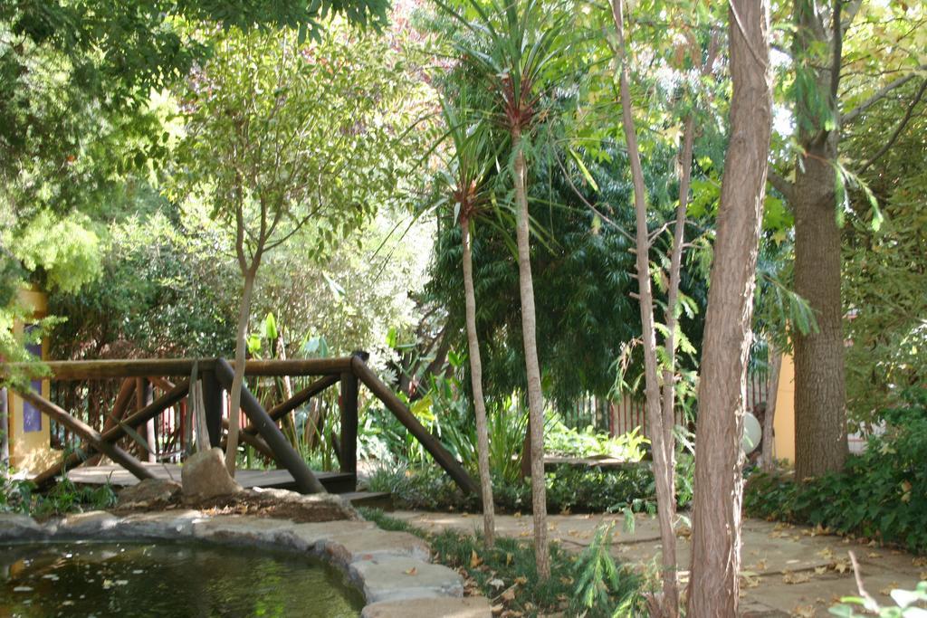Jedidja Bed And Breakfast Bloemfontein Exteriér fotografie