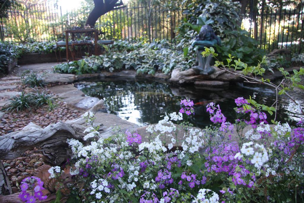 Jedidja Bed And Breakfast Bloemfontein Exteriér fotografie