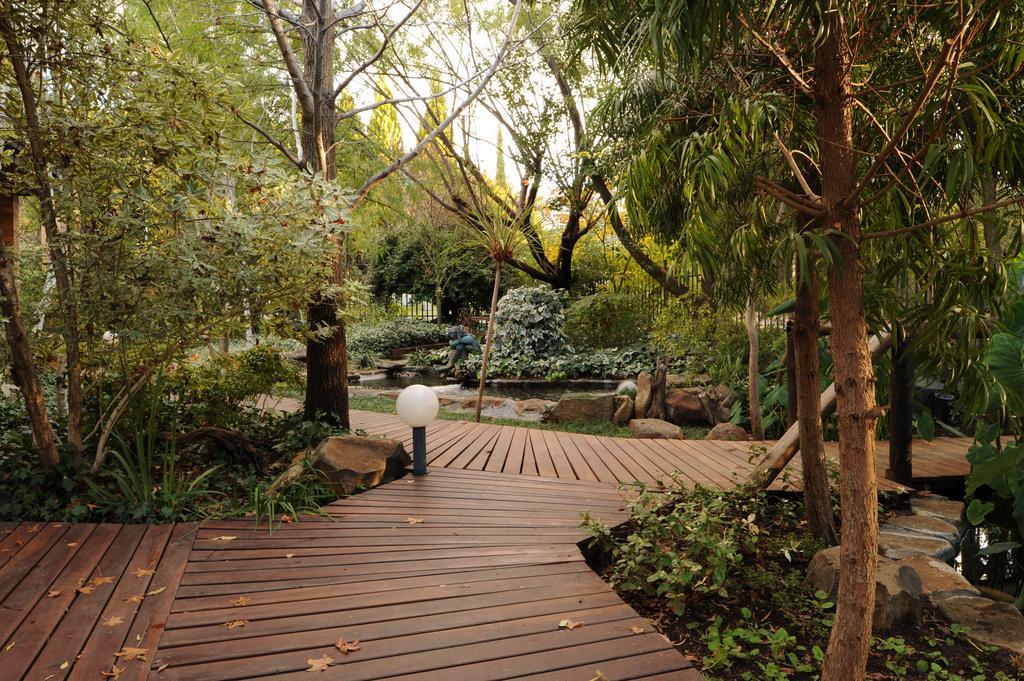 Jedidja Bed And Breakfast Bloemfontein Exteriér fotografie