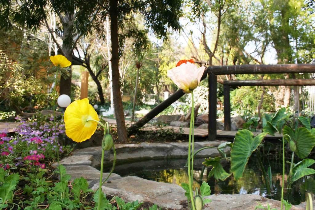 Jedidja Bed And Breakfast Bloemfontein Exteriér fotografie