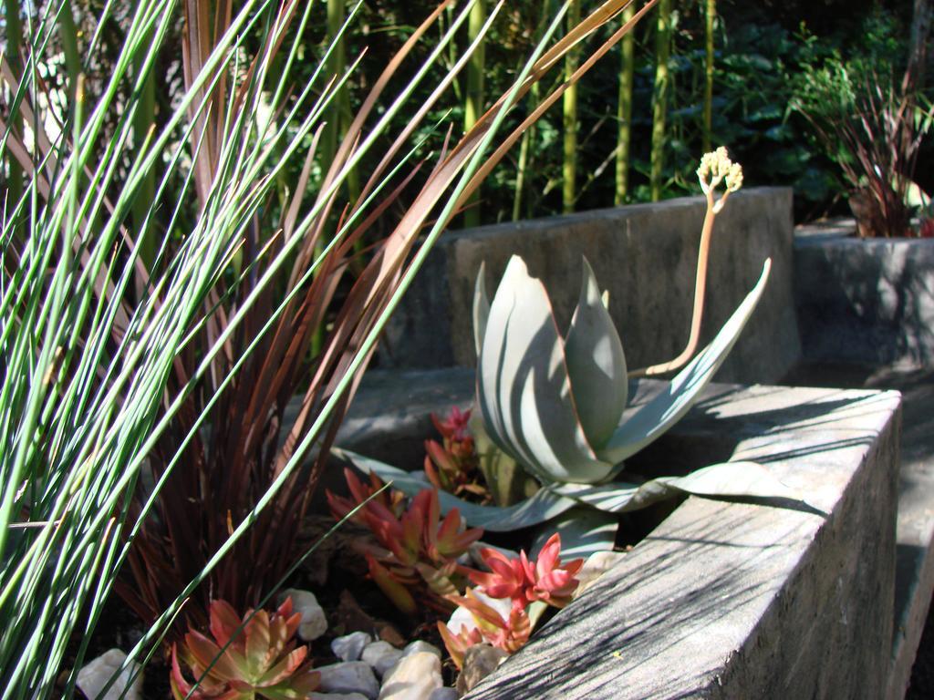 Jedidja Bed And Breakfast Bloemfontein Exteriér fotografie