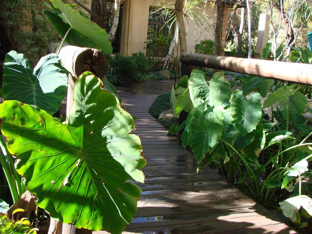 Jedidja Bed And Breakfast Bloemfontein Exteriér fotografie